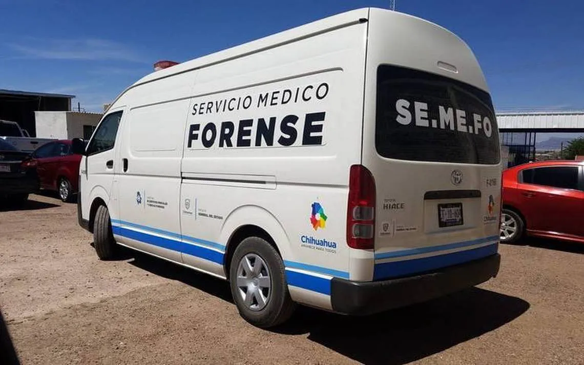semefo