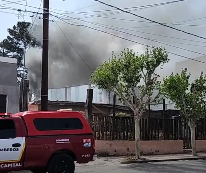 Screenshot_20250404_144210_Facebook