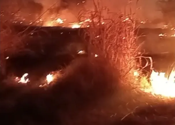 Screenshot_20260130_193025_Chrome