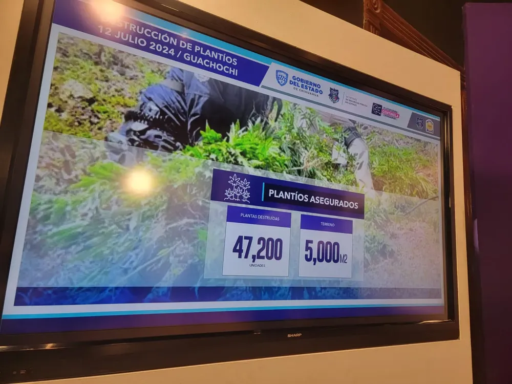 WhatsApp Image 2024-07-15 at 8.03.01 AM (1)