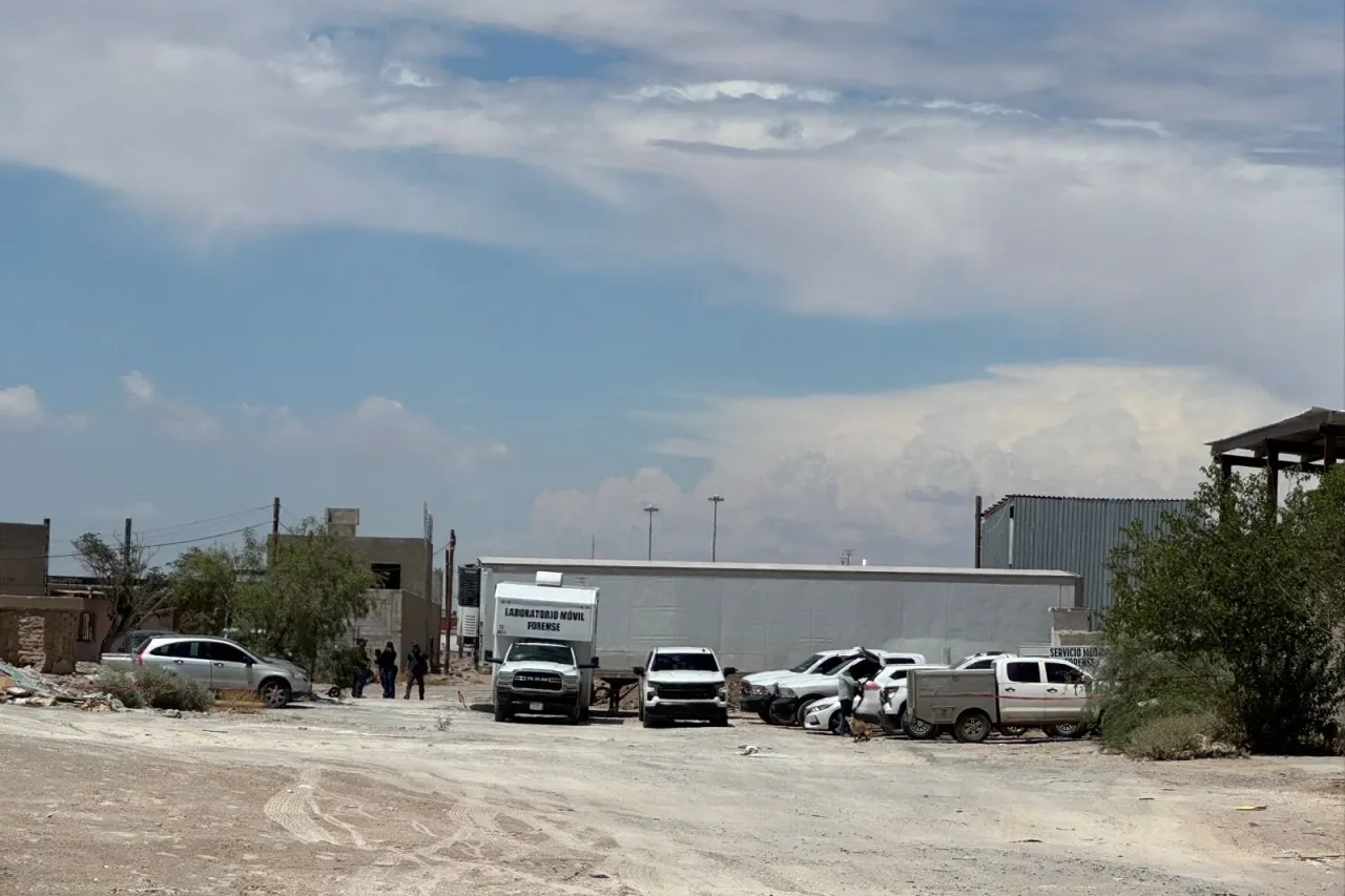 wmremove-transformed