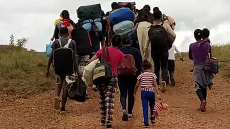 migrantes