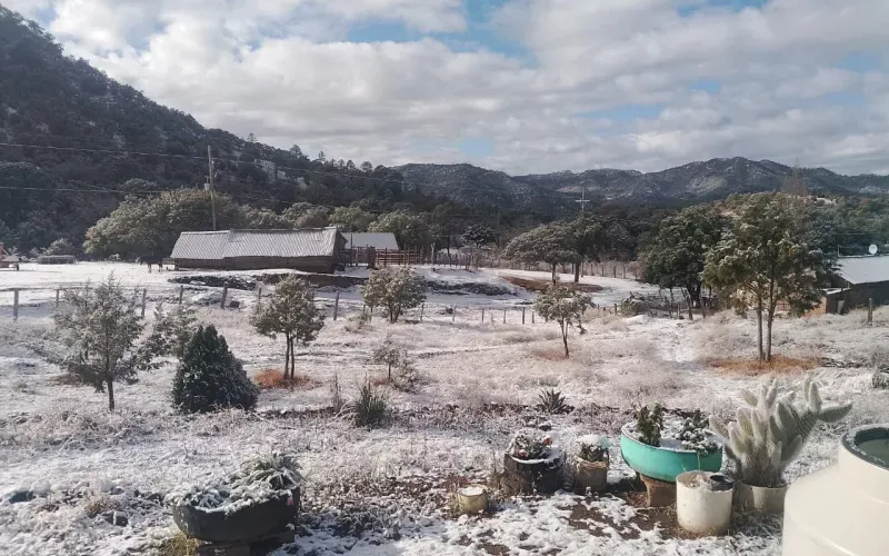 frio