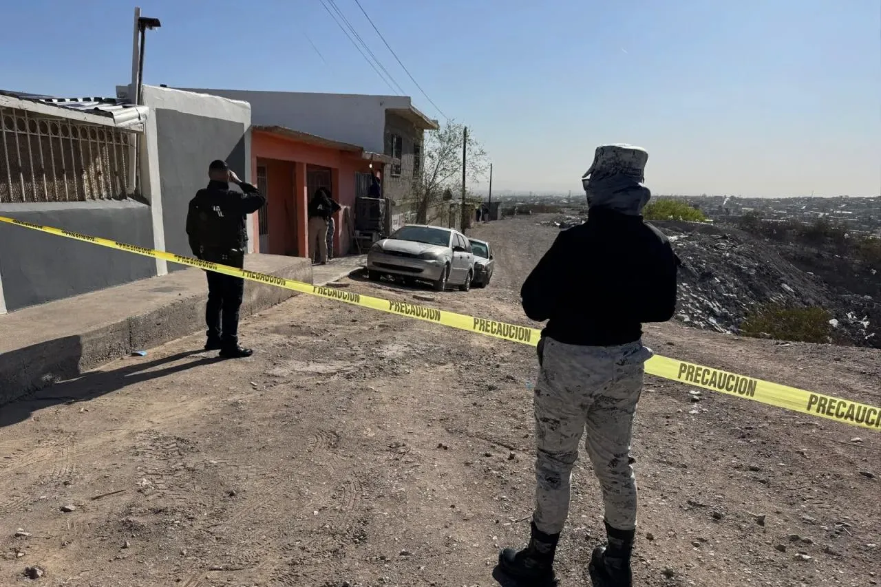 DeWatermark.ai_1744137934081