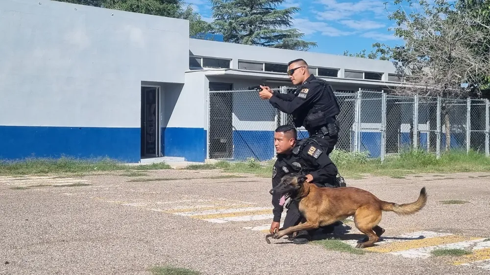 perro poli