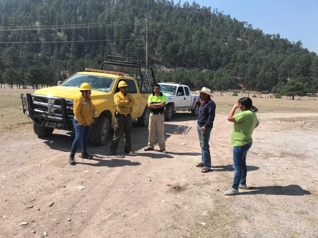 forestal
